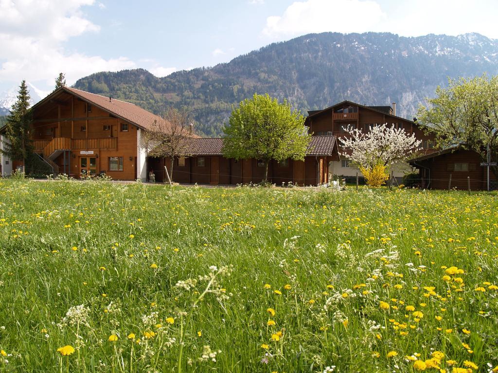 Salzano Basic Rooms Interlaken Room photo
